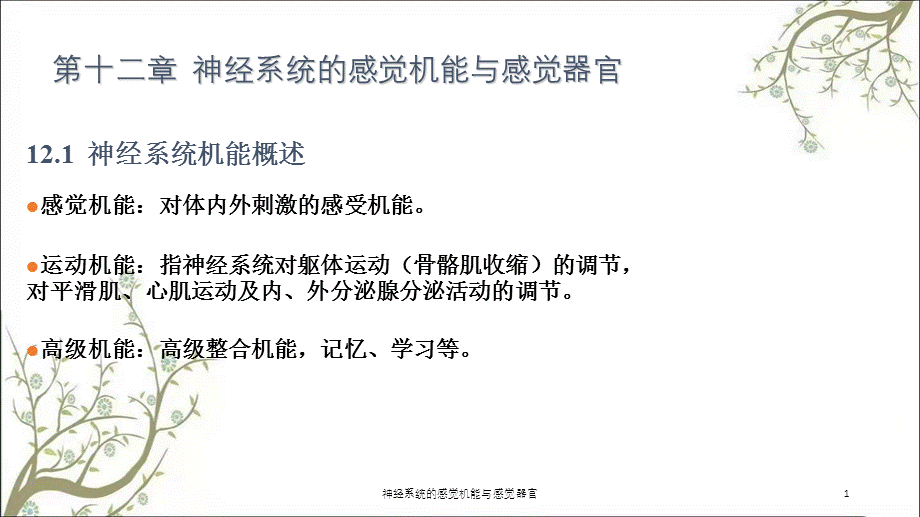 神经系统的感觉机能与感觉器官课件.ppt_第1页