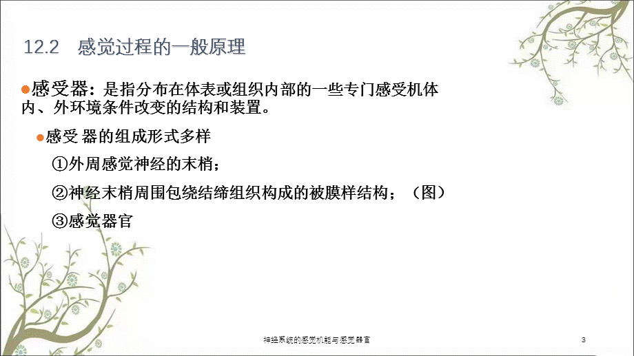 神经系统的感觉机能与感觉器官课件.ppt_第3页