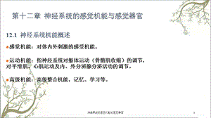 神经系统的感觉机能与感觉器官课件.ppt