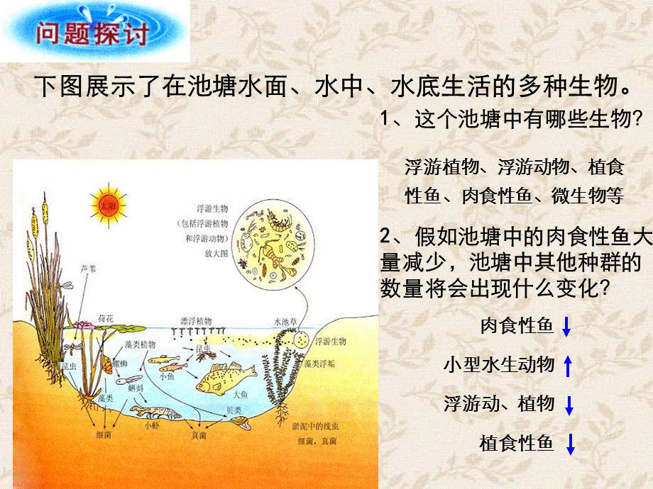 群落结构优质课课件.ppt_第3页