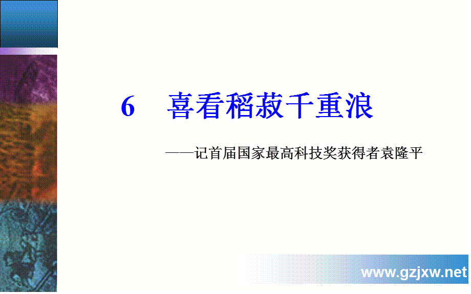 （粤教版）2018年秋高二上学期语文教学课件：必修五第二单元6喜看稻菽千重浪 (共34张PPT).ppt_第2页