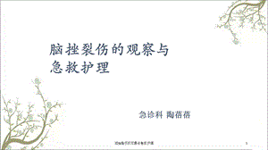 脑挫裂伤的观察与急救护理课件.ppt