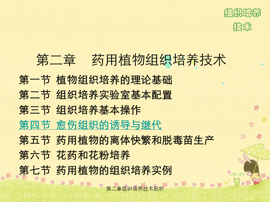 第二章组织培养技术剖析.ppt_第1页