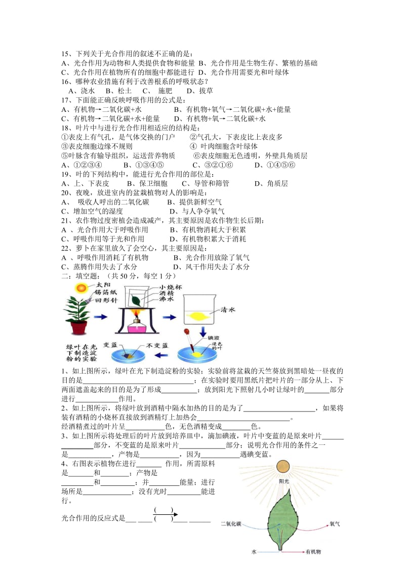 绿色植物的光合作用与呼吸作用试题(一).doc_第2页