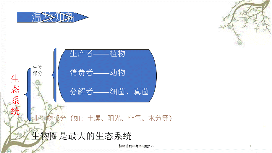 腔肠动物和扁形动物(12)课件.ppt_第1页