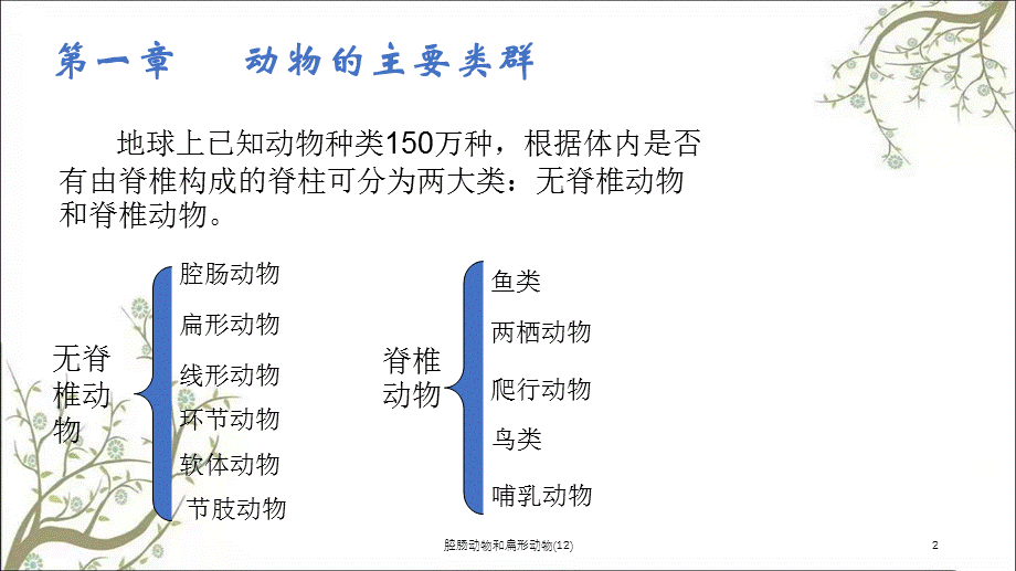 腔肠动物和扁形动物(12)课件.ppt_第2页