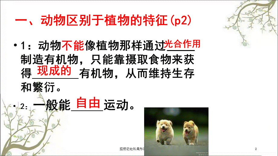 腔肠动物和扁形动物(11)(1)课件.ppt_第2页