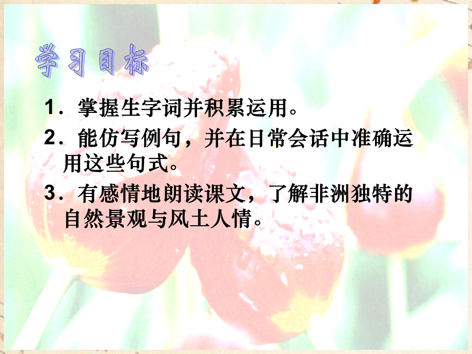 彩色非洲课件.ppt_第2页