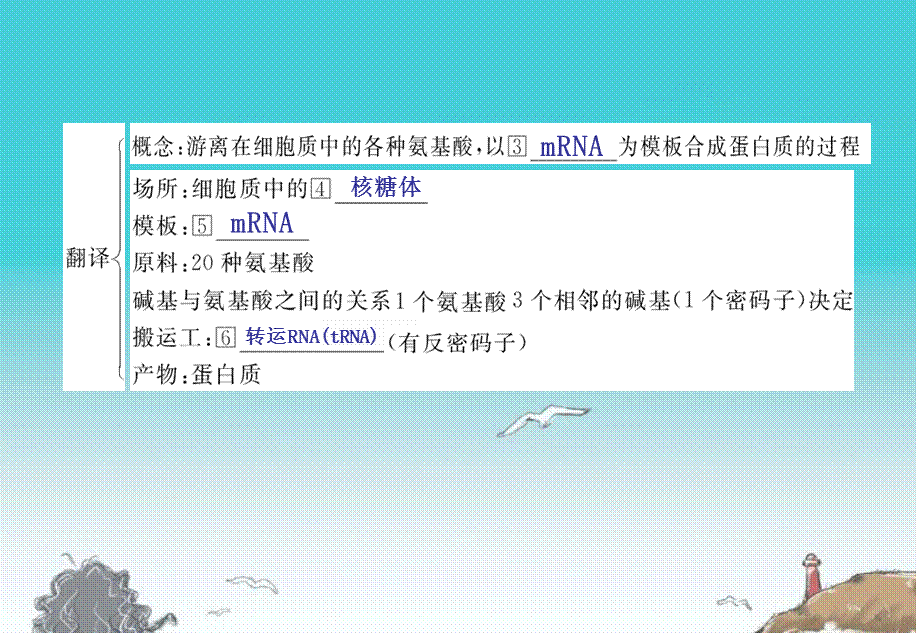 2012届高三生物基础复习 第四单元基因的表达 新人教版必修2.ppt_第3页