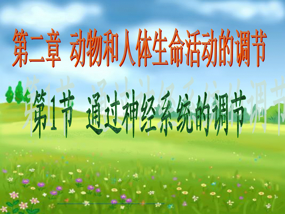 通过神经系统的调节(3)课件.ppt_第1页