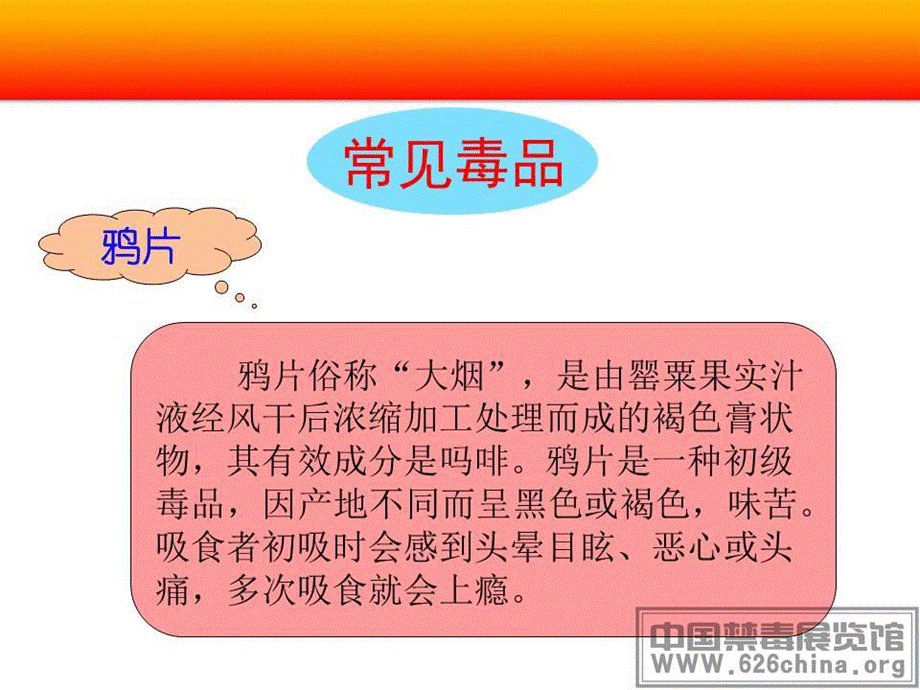 认识毒品及危害.ppt_第2页