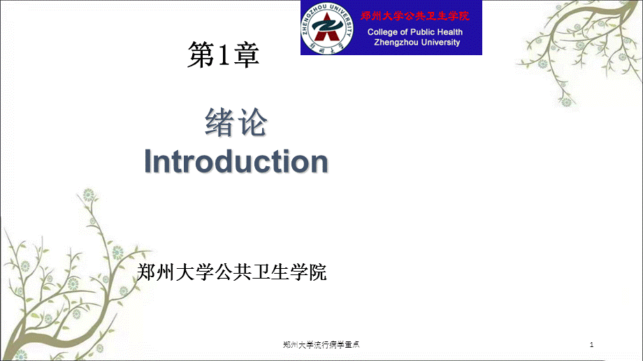 郑州大学流行病学重点课件.ppt_第1页