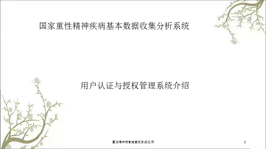 重性精神病管理直报系统应用课件.ppt_第2页