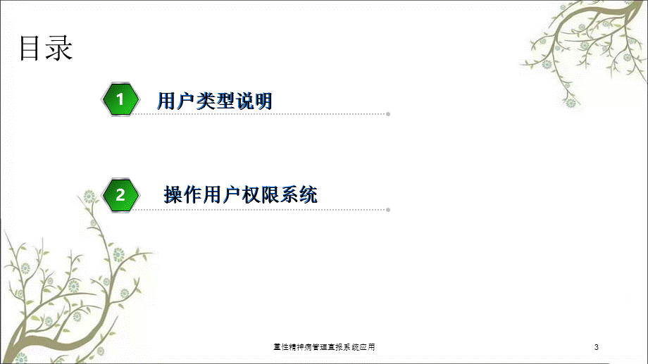 重性精神病管理直报系统应用课件.ppt_第3页