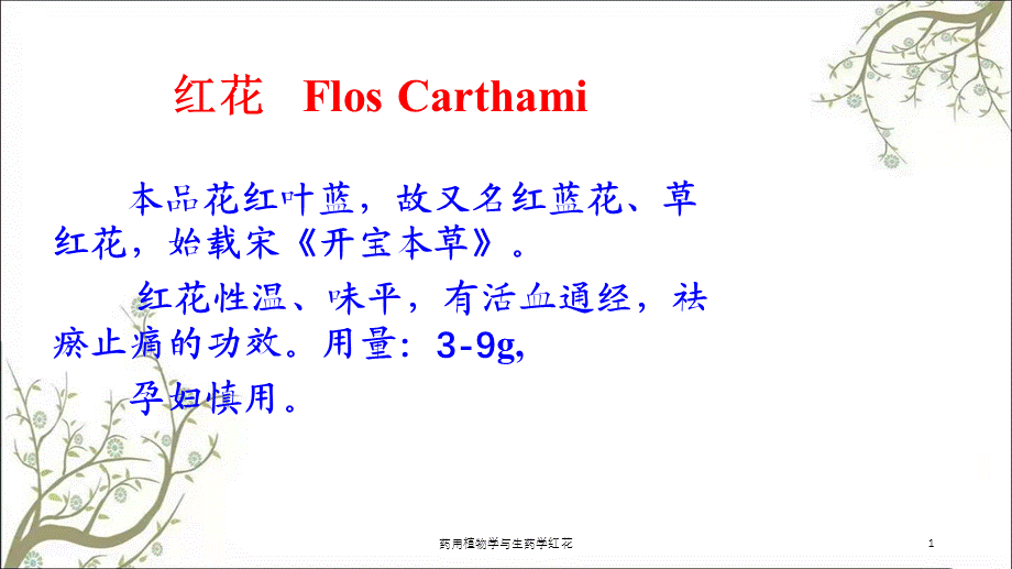 药用植物学与生药学红花课件.ppt_第1页