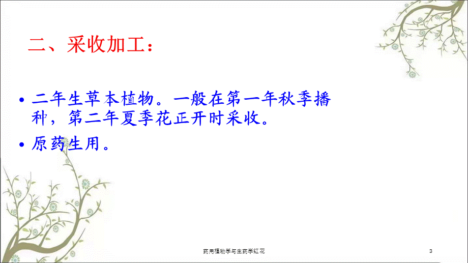 药用植物学与生药学红花课件.ppt_第3页