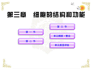 高中生物课时讲练通配套课件 3《细胞的结构和功能》 苏教版必修1.ppt