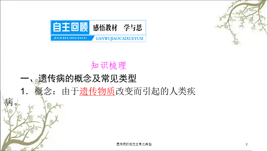 遗传病的概念及常见类型课件.ppt_第2页