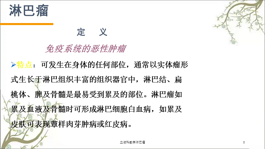 血液科教学淋巴瘤课件.ppt_第2页