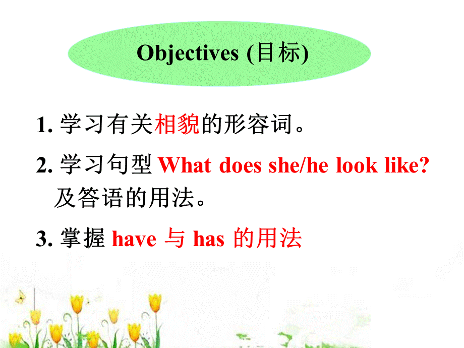 冀教版七年级英语上册Unit 3 Lesson 18 WeAll Look Different(共23张PPT).ppt_第2页