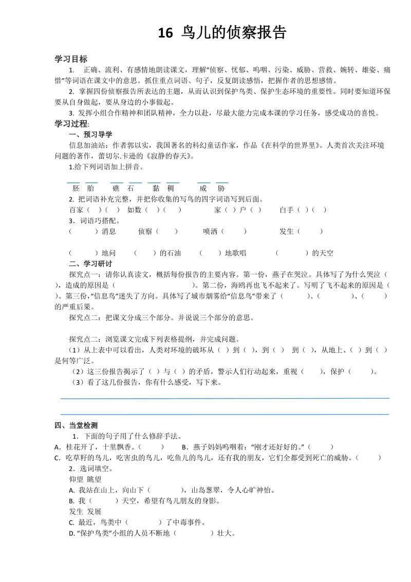 16鸟儿的侦察报告课文理解.doc_第1页