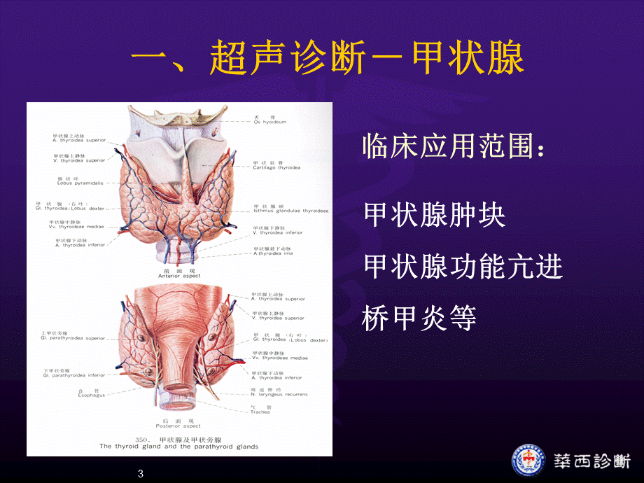 浅表超声诊断PPT课件.ppt_第3页