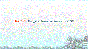 人教版初中英语七年级上册Unit 5Do you have a soccer ballSection A period 1.pptx