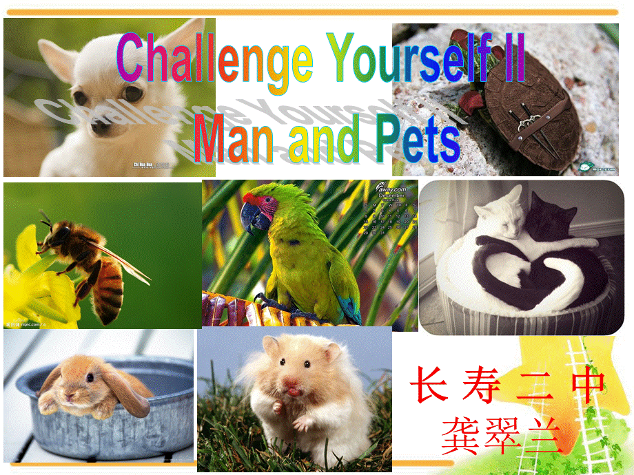 ChallengingYourselfⅡManandPets.ppt_第1页