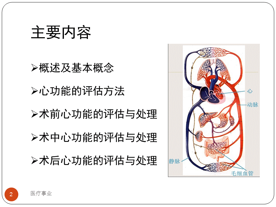 围手术期心功能评估及处理[医术材料].ppt_第2页