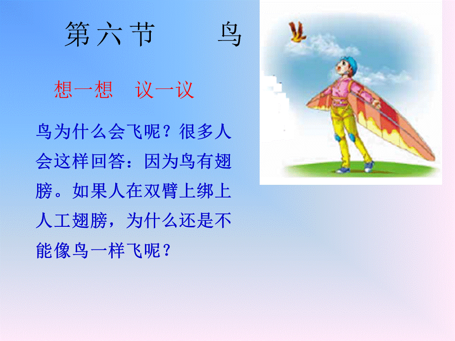 第六节鸟PPT.ppt_第1页