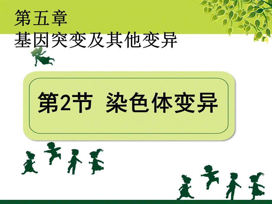 一染色体结构变异 (2).ppt_第1页