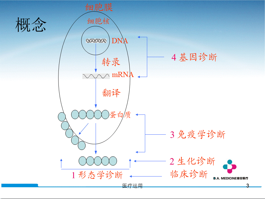 PCR临床应用[医疗经验].ppt_第3页