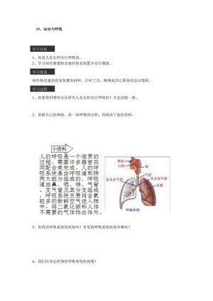 19、运动与呼吸.doc