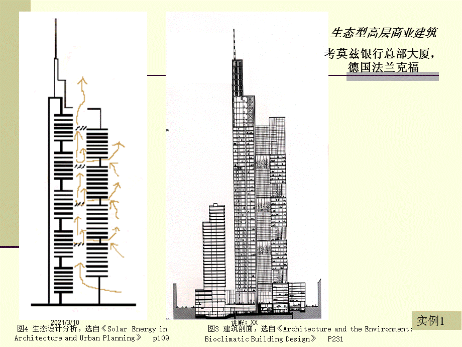 生态案例分析.ppt_第3页