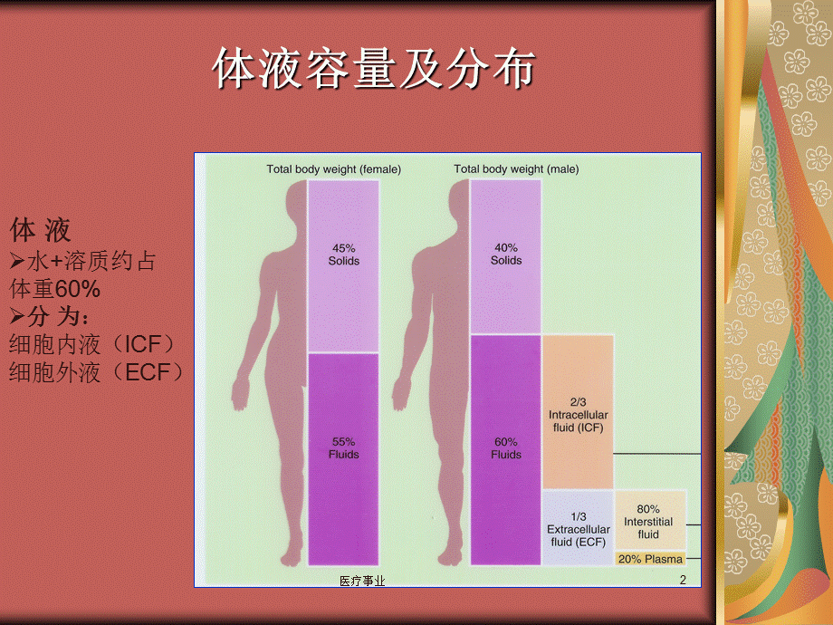 水电解质、酸碱平衡紊乱[医术材料].ppt_第2页