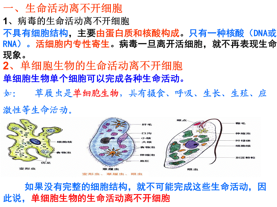 高一生物必修一第一节.ppt_第3页