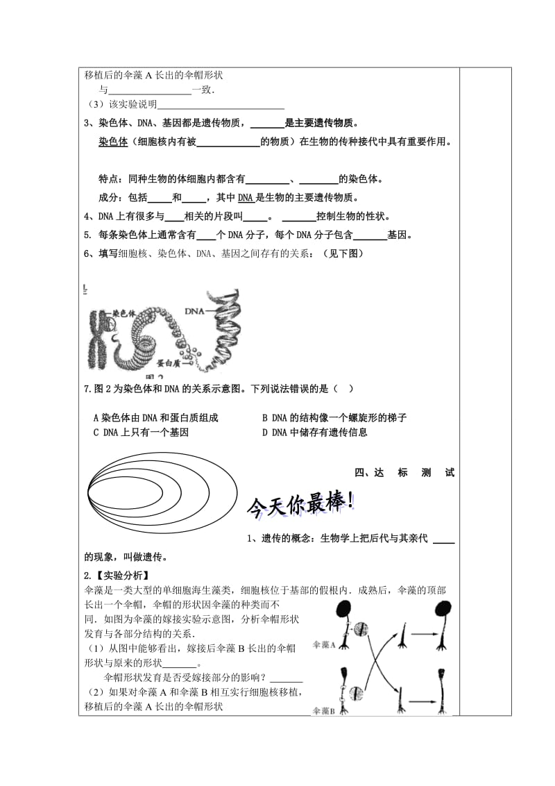 4.4.1遗传的物质基础.doc_第3页