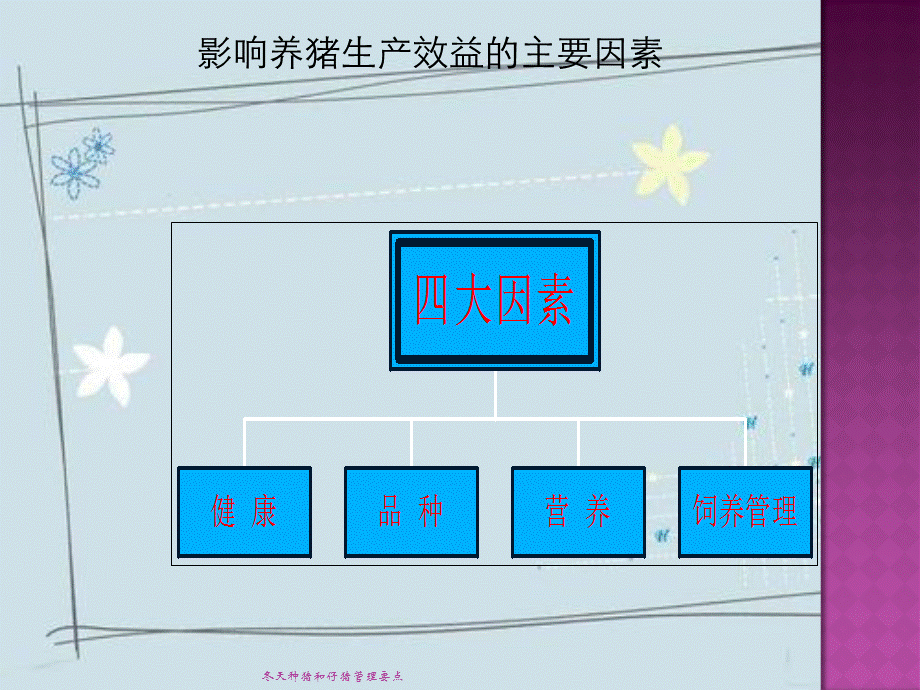 冬天种猪和仔猪管理要点.ppt_第2页