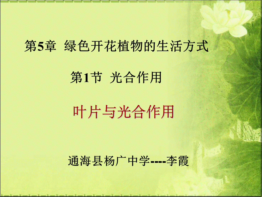 叶片的结构03824.ppt_第1页