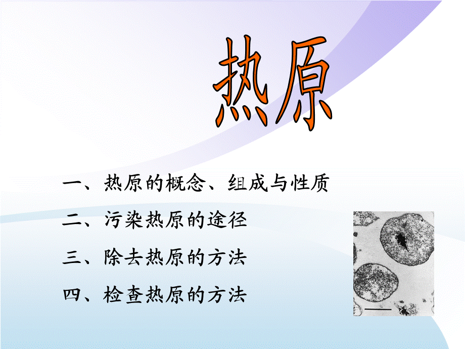 -热原的基本知识.ppt_第1页