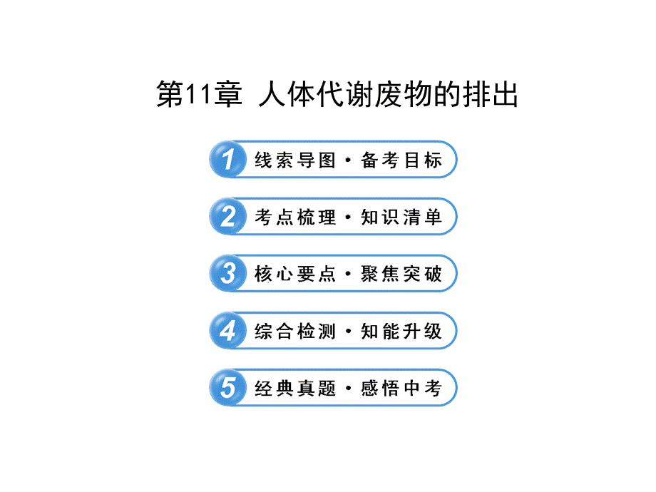 第1节人体产生的代谢废物 (2).ppt_第1页