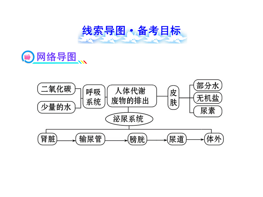 第1节人体产生的代谢废物 (2).ppt_第2页