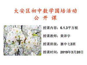 用计算器求算数平方根、用有理数估计算数平方根的大小 (3).ppt