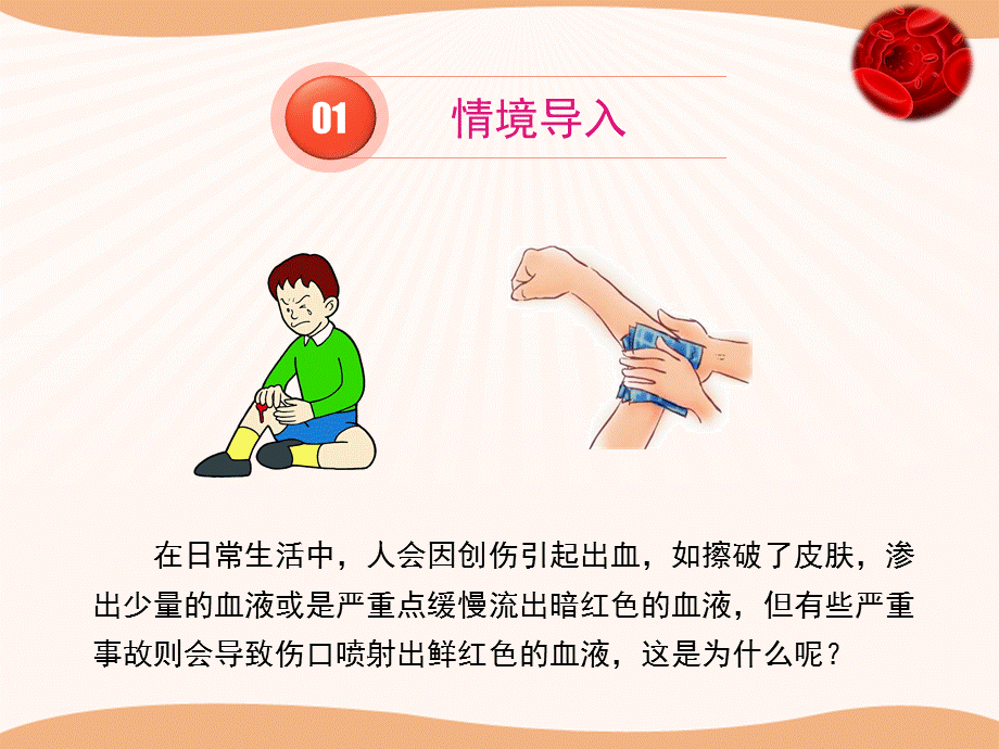 第三节人体概述 (3).ppt_第2页