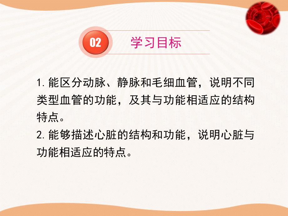 第三节人体概述 (3).ppt_第3页