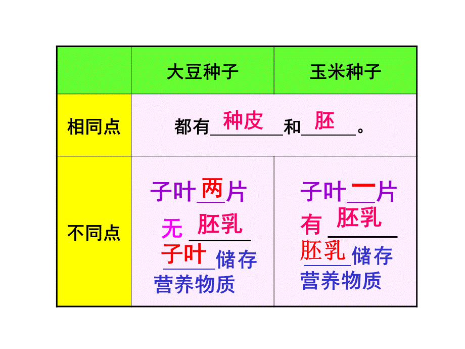 第一节　种子的萌发 (2).ppt_第3页