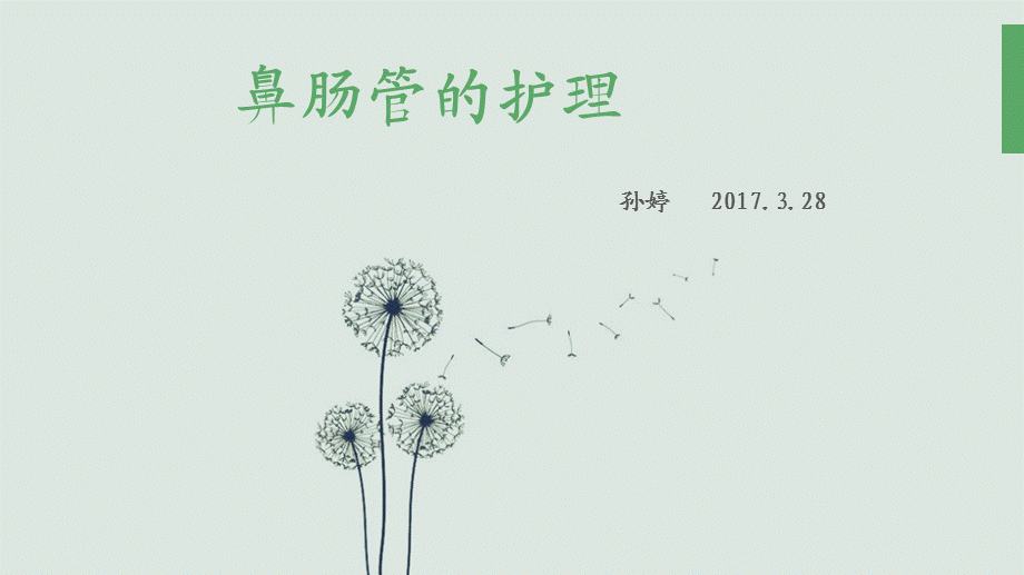 鼻肠管的护理84427.ppt_第1页