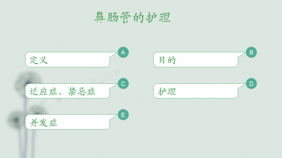 鼻肠管的护理84427.ppt_第2页