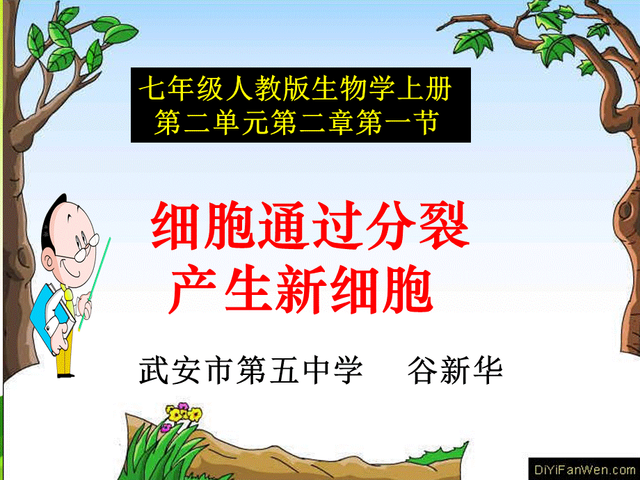 第三节　细胞通过分裂产生新细胞 (2).ppt_第1页