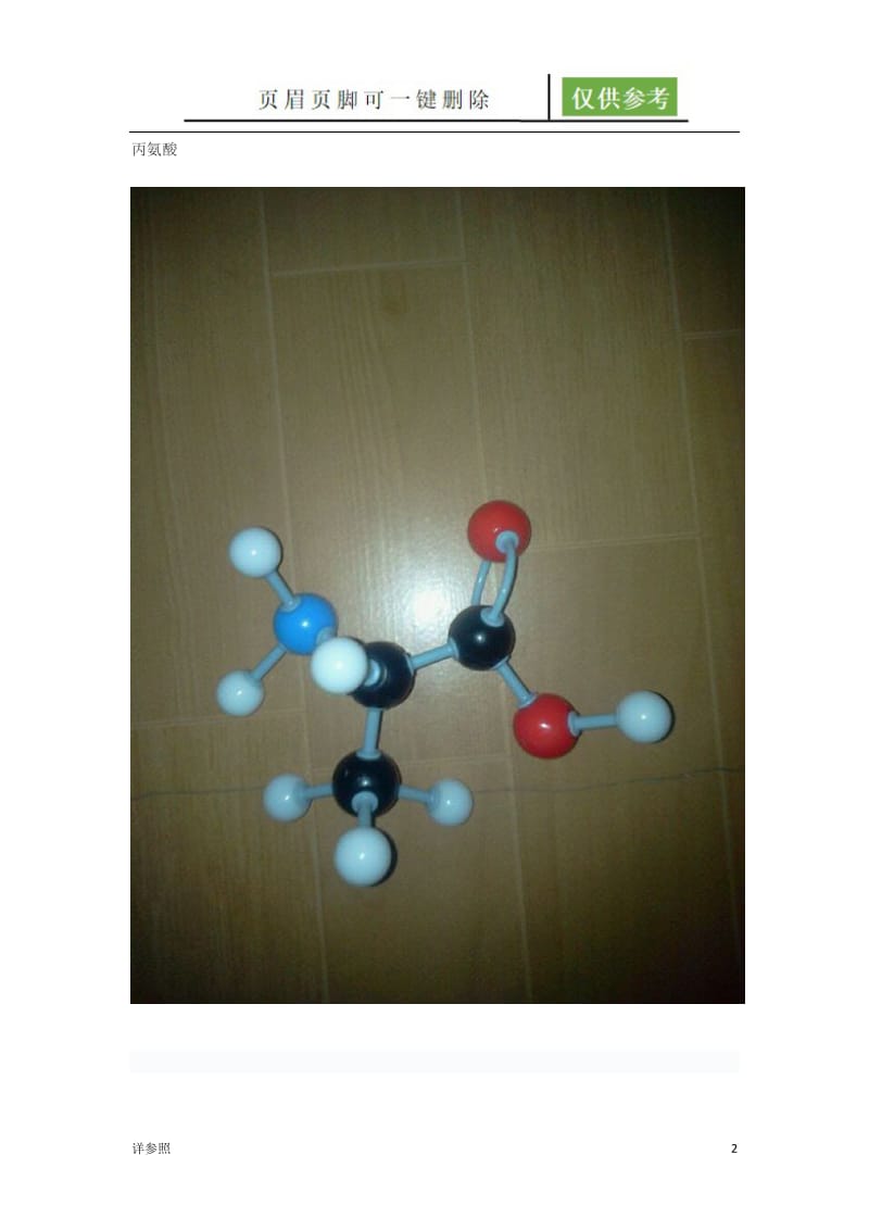 20种常见氨基酸球棍模型[稻谷文苑].doc_第2页